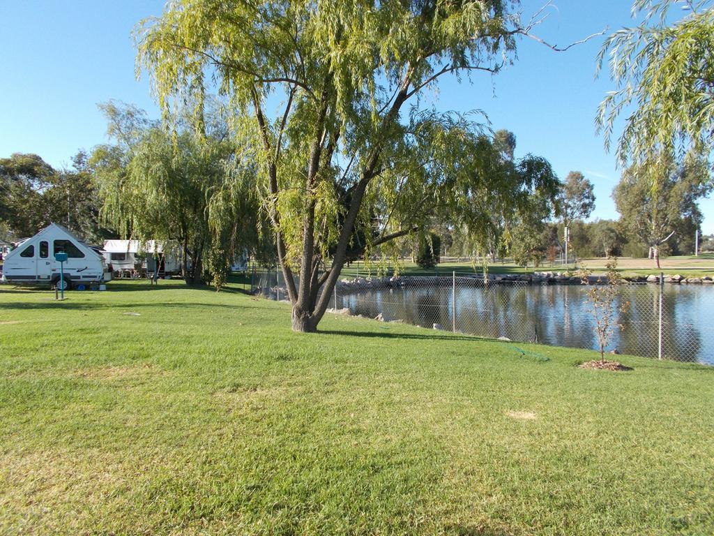 Junee Tourist Park Εξωτερικό φωτογραφία
