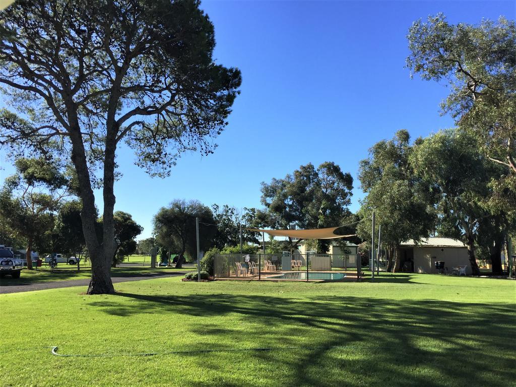 Junee Tourist Park Εξωτερικό φωτογραφία
